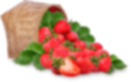 Pommes biologiques 2 kg
