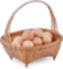 Lentilles vertes bio 1 kg
